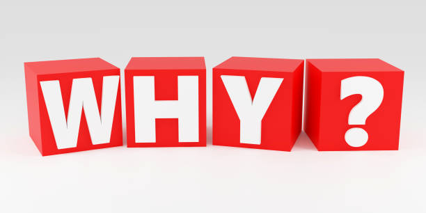 Luxury red inscription why on grey podium, soft light, smooth background, 3d rendering