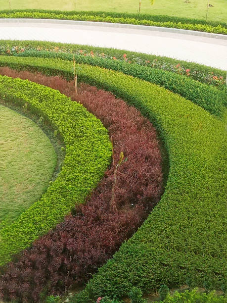 istock modern beautiful house with garden 2157798801