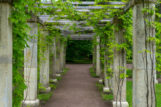 istock Pergola in a city park 2157798999
