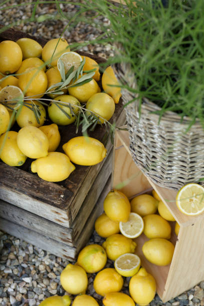 istock Yellow lemons on wooden crate with wicker basket, decoration 2157799281