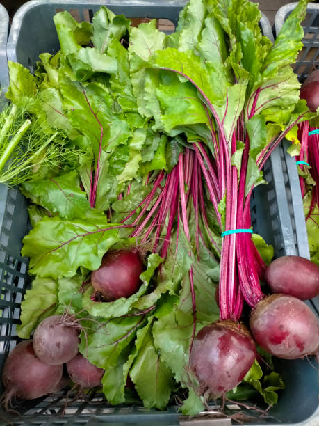 Bunches of Fresh Beetroot at Local Market Stall"