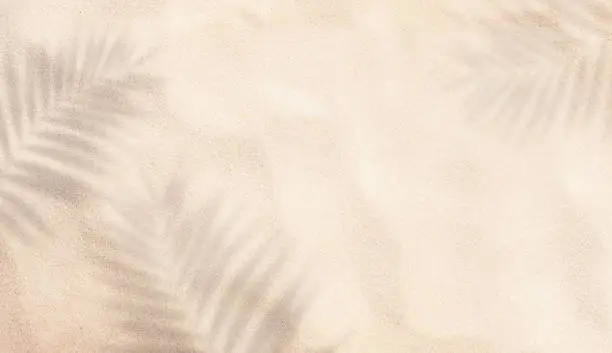 ヤシの木の影が見えるビーチの砂浜 ヤシの木の影が見えるビーチの砂浜