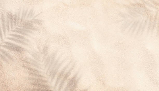 beach sand with shadows from palm summer background of beach sand with shadows from palm leaves, top view beach stock pictures, royalty-free photos & images