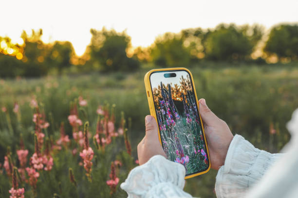 девушка фотографирует красивый закат - фотограф стоковые фото и изображения