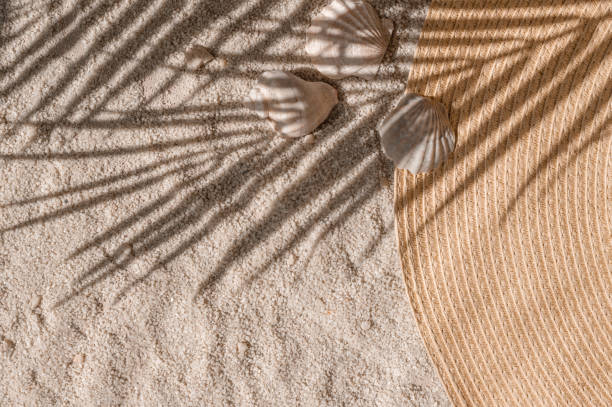istock Aesthetic summer vacation and resort background, straw hat and sea shells on light beige neutral sand texture with tropical palm tree foliage sunlight shadow silhouette 2157803604