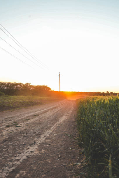 istock Rural road and wheat field, background 2157804235