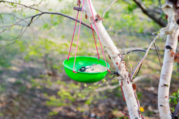 Seeds in bird feeder hunging on a tree in forest