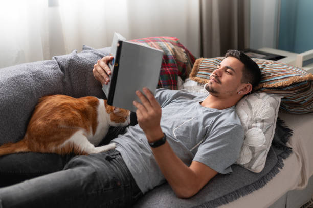 istock young man lying on a a sofa with domestic cats reads a book 2157808379