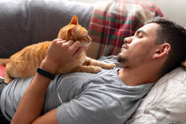 istock young man lying on a a sofa with domestic cats reads a book 2157808451