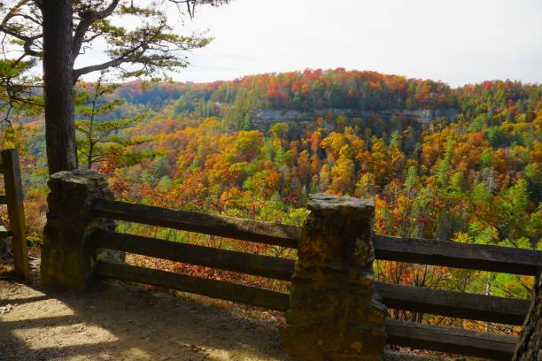 Daniel Boone National Forest and Red River Gorge Geologic Area Kentucky