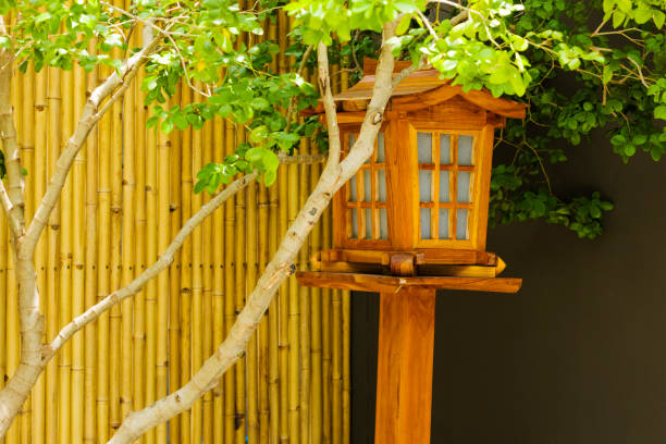 Japanese  wooden lantern under small tree in front yard