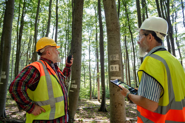 istock Team of construction workers working in the forest 2157829198
