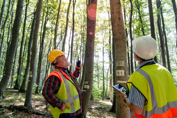 istock Team of construction workers working in the forest 2157829200