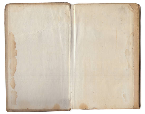 istock Vintage empty background of old book spread paper texture 2157829933