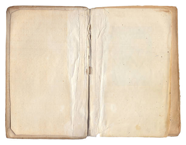 istock Vintage empty background of old book paper texture isolated 2157829961