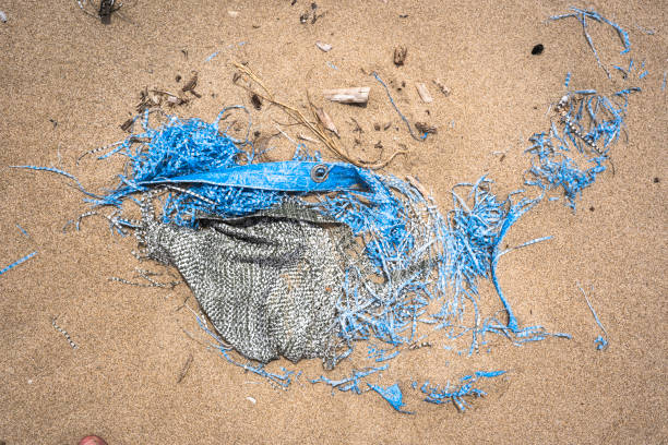 istock Plastic debris on a sandy beach. Severe pollution and environmental issues along the coastline. Paradoxically the shape of the debris resembles a whale. 2157832429