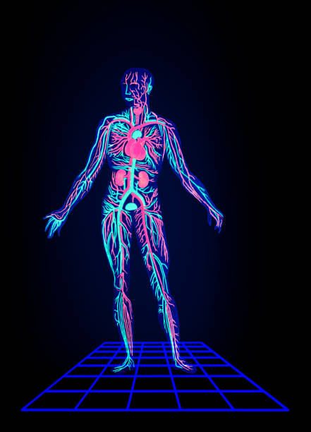 istock Holographic Medical Illustration of a Human Circulatory System 2157834751
