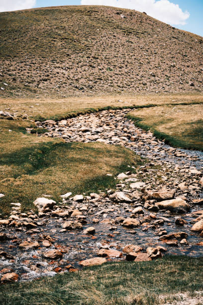 Small mountain river flowing through highland valley, Kyrgyzstan