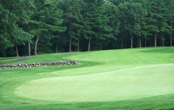 istock green grass meadow and forest in the golf course 2157843413