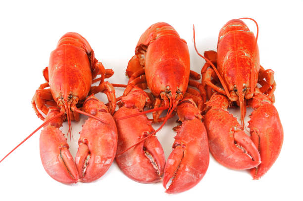 istock cooked red lobster isolated on white background 2157843608