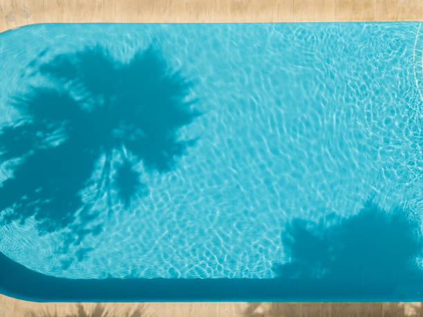 Swimming pool with palm tree shadow on the water. Aerial drone view
