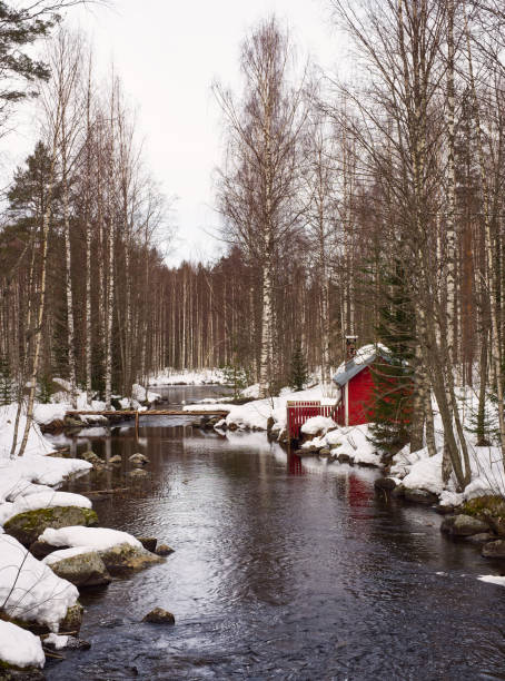 Person standing next to the old mill by the frozen river contemplating the arctic landscape at morning, Myllykoski rapids, Juuma, Oulanka National Park, Kuusamo, Finnish Lapland, Finland