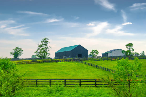 istock Barn with fence- Lexington. Kentucky 2157866704