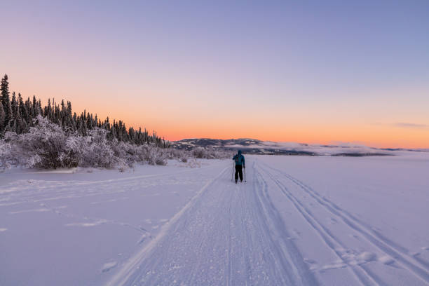 istock Winter time views in northern Canada, Yukon Territory along the Yukon River. 2157870854