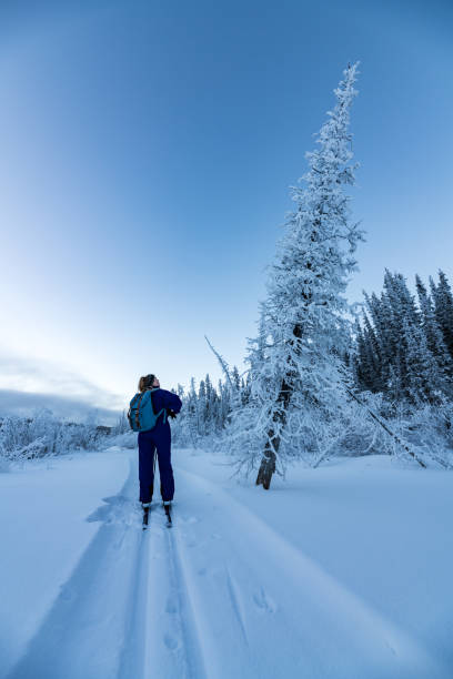 istock Winter time views in northern Canada, Yukon Territory along the Yukon River. 2157870961