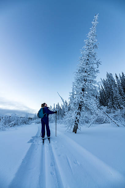 istock Winter time views in northern Canada, Yukon Territory along the Yukon River. 2157870962