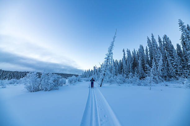 istock Winter time views in northern Canada, Yukon Territory along the Yukon River. 2157870976