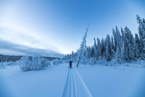 Winter time views in northern Canada, Yukon Territory along the Yukon River.