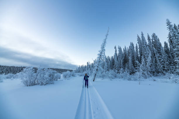 istock Winter time views in northern Canada, Yukon Territory along the Yukon River. 2157870990