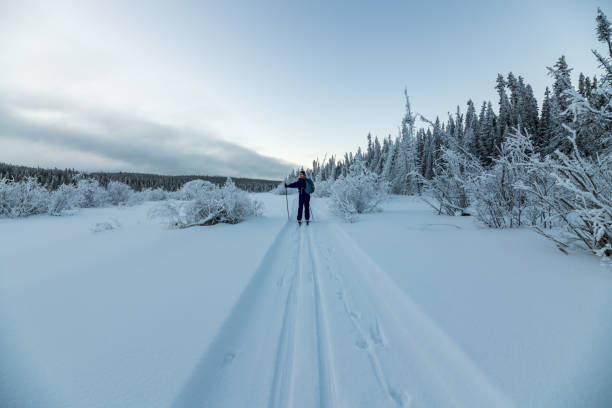 istock Winter time views in northern Canada, Yukon Territory along the Yukon River. 2157871003