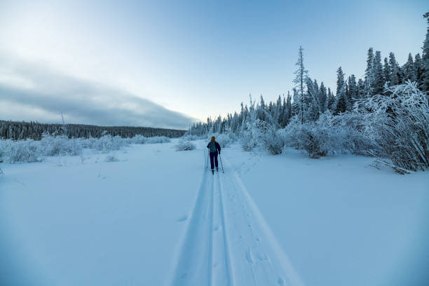 istock Winter time views in northern Canada, Yukon Territory along the Yukon River. 2157871011