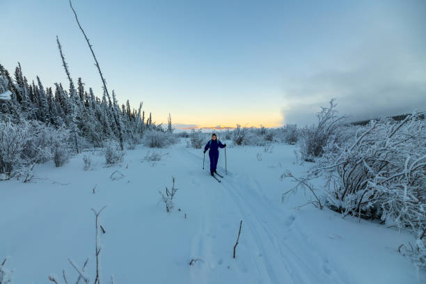 istock Winter time views in northern Canada, Yukon Territory along the Yukon River. 2157871025
