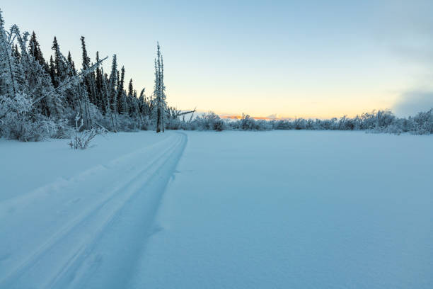 istock Winter time views in northern Canada, Yukon Territory along the Yukon River. 2157871065