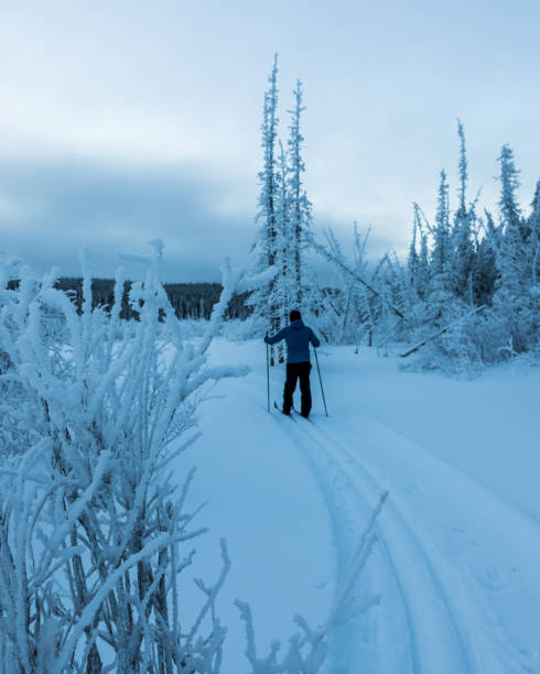 istock Winter time views in northern Canada, Yukon Territory along the Yukon River. 2157871097