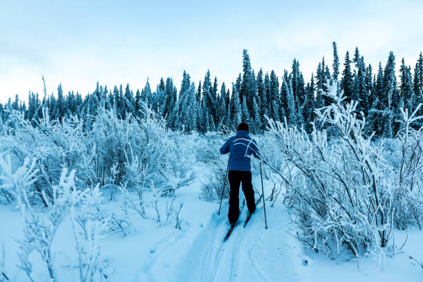 istock Winter time views in northern Canada, Yukon Territory along the Yukon River. 2157871124