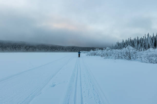 istock Winter time views in northern Canada, Yukon Territory along the Yukon River. 2157871182
