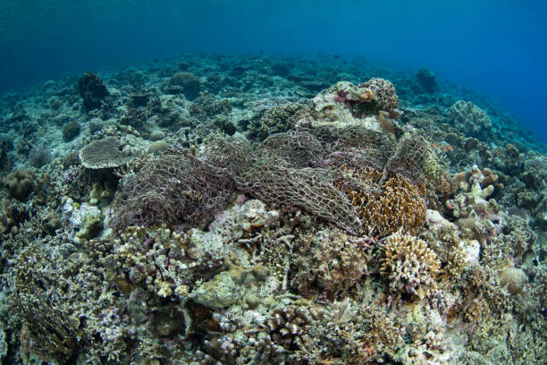 istock Ghost Fishing Net Discarded on Coral Reef 2157873509