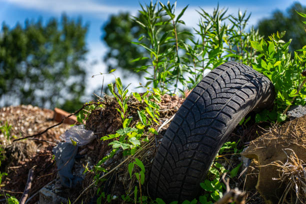 istock Overgrown Tire Ruin in a Lush Forest Landscape 2157873718