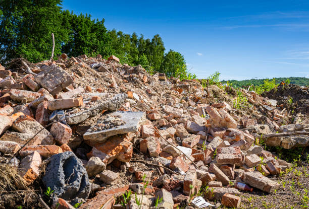 A pile of broken bricks and rubble is overgrown with vegetation, suggesting the remains of a building that has been reclaimed by nature. The bright blue sky and scattered green foliage create a striking contrast against the dusty, broken remains.