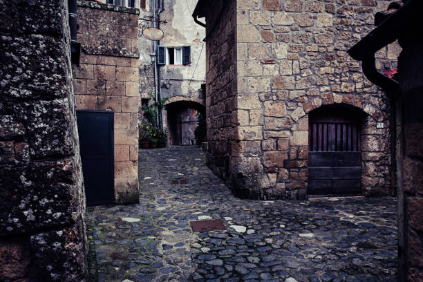 Narrow street of medieval ancient tuff city Sorano with green plants and cobblestone, travel Italy background