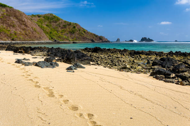Footprints on a beautiful tropical beach next to a clear, warm ocean
