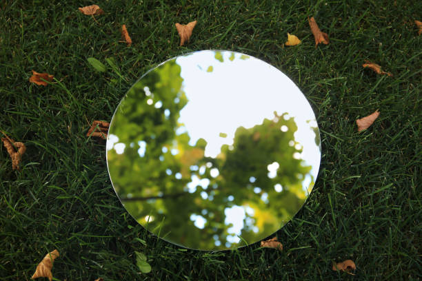Round mirror on green grass and fallen leaves reflecting beautiful tree, top view