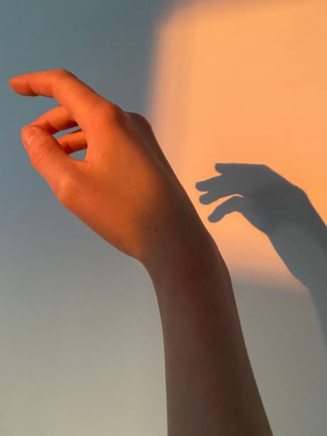 istock Golden hour and a fragile female hand 2157877982