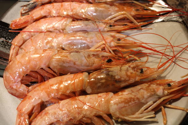 istock Extra Large Prawns Laid Out On A Plate Ready To Be Cooked. 2157883410