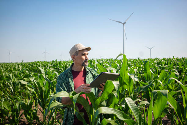 istock Farmer with Tablet in Corn Field with Wind Turbines. Smart Farming & Eco Energy. 2157884522
