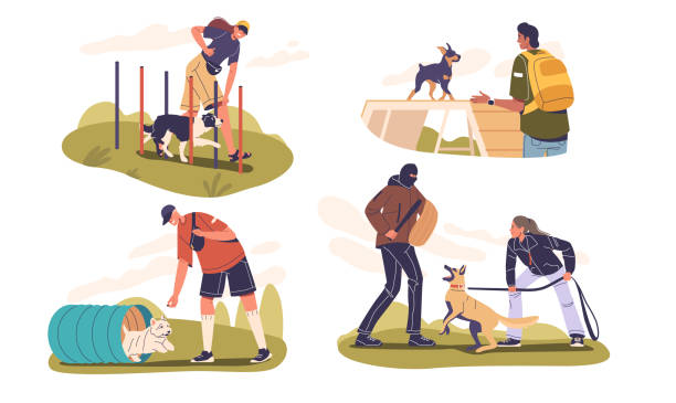 Various Dog Training Activities In Yard Setting, Includes Agility Exercises And Obedience Training. Concept Of Pet Care Various Dog Training Activities In A Yard Setting, Includes Agility Exercises And Obedience Training. Concept Of Pet Care, Professional Training, And Outdoor Activities. Cartoon Vector Illustration person sitting on fence stock illustrations
